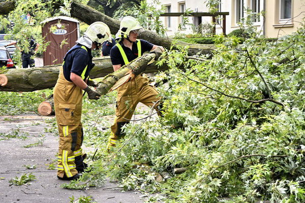 Feuerwehr_Baum   018.jpg
